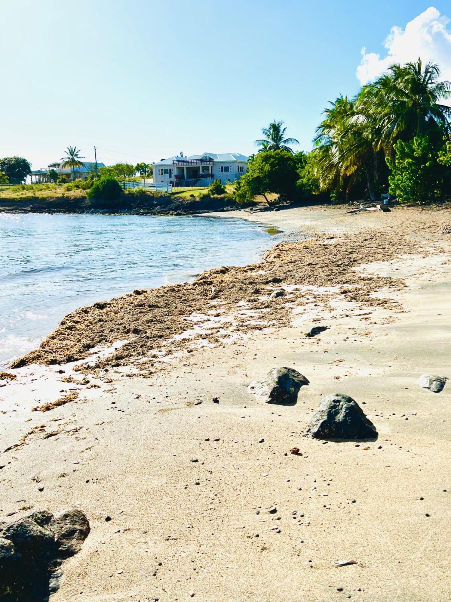 Sealavie Apartments - Grenada St. George's Esterno foto